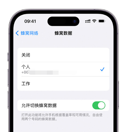 瓮安苹果维修服务分享如何在iPhone上使用双卡 